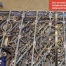 Garde corps acier forgé | Forged steel railing | Acier Lachine, Montreal, Quebec | www.acierlachine.com | +1-514-634-2252