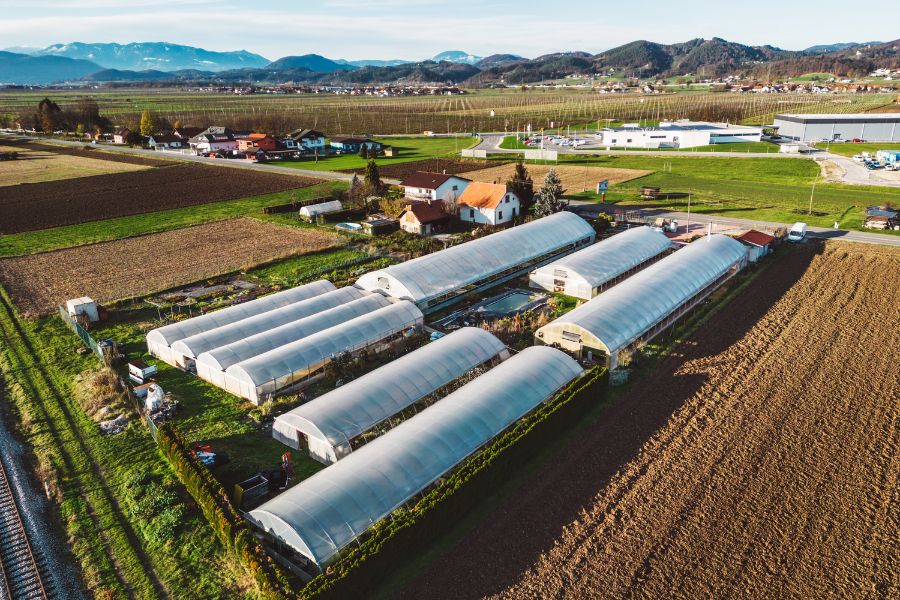 Agriculture sector 1