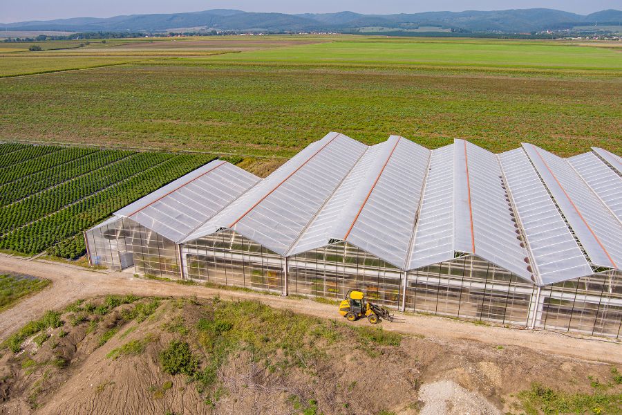 Agriculture sector 5