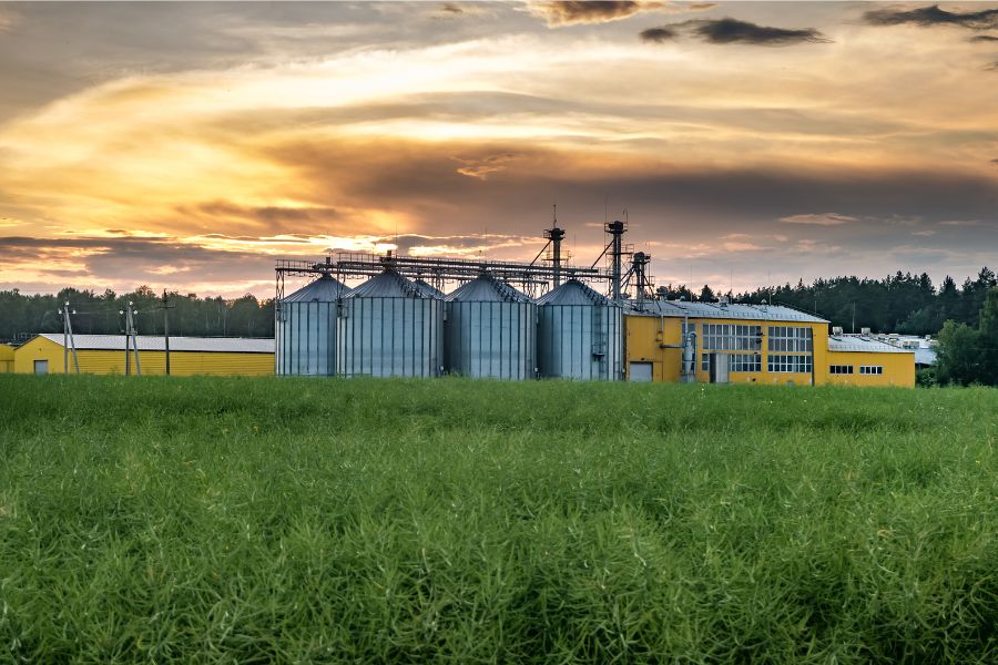 Agriculture sector 7